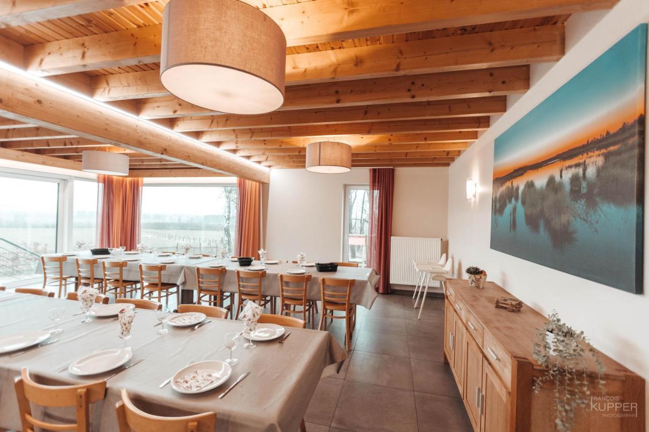 Le Loup Gris - 35 Pers - Vue-Wellness, Butgenbach-Malmedy Villa Buitenkant foto